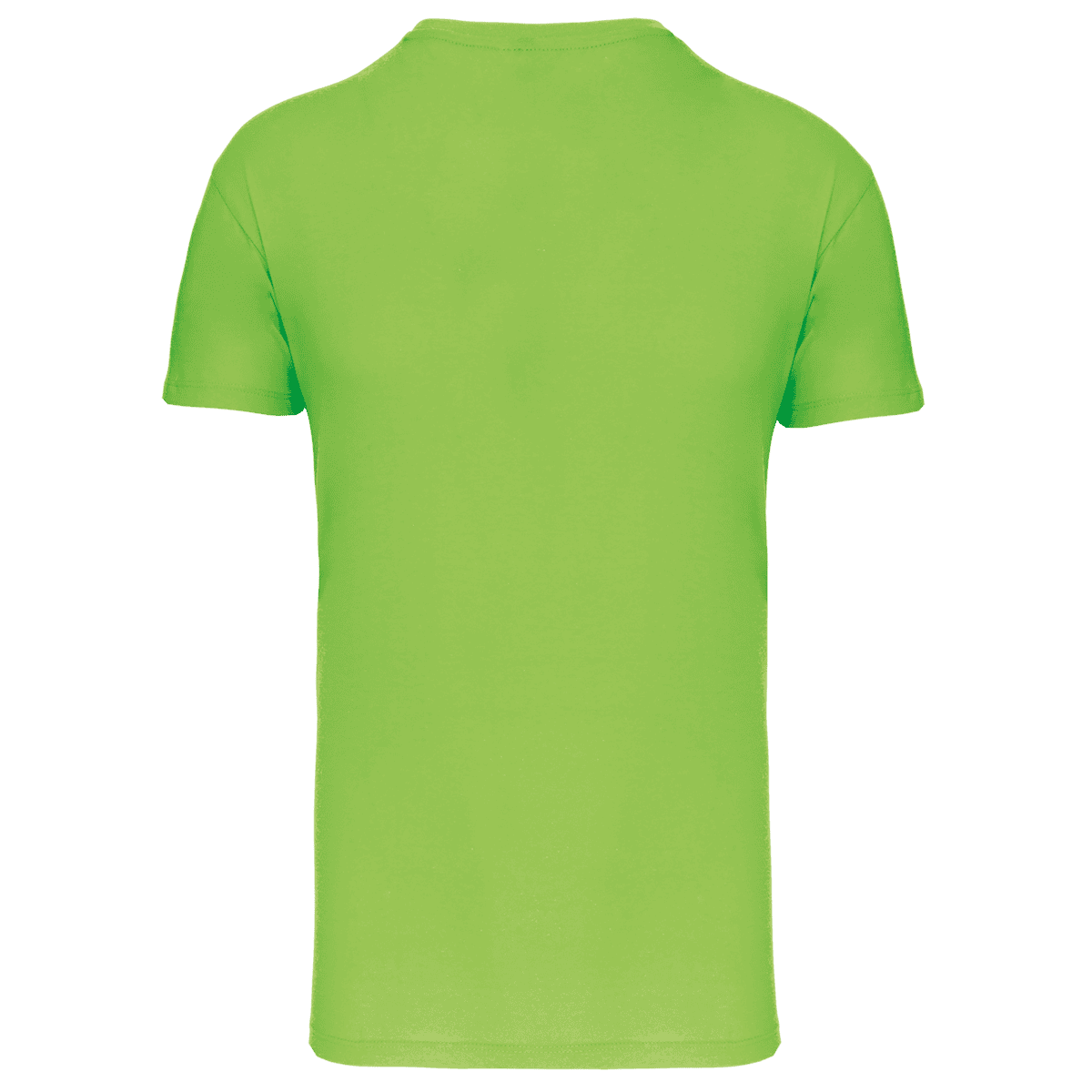 Heren-t-shirt BIO150 IC V-hals - Afbeelding 23