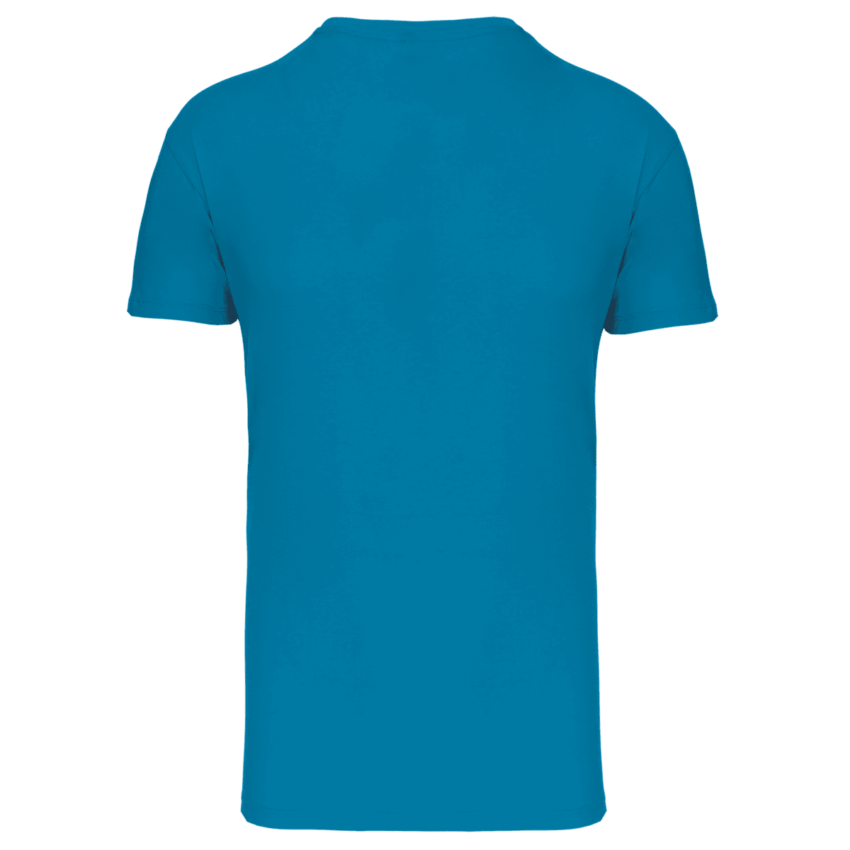 Heren-t-shirt BIO150 IC V-hals - Afbeelding 35