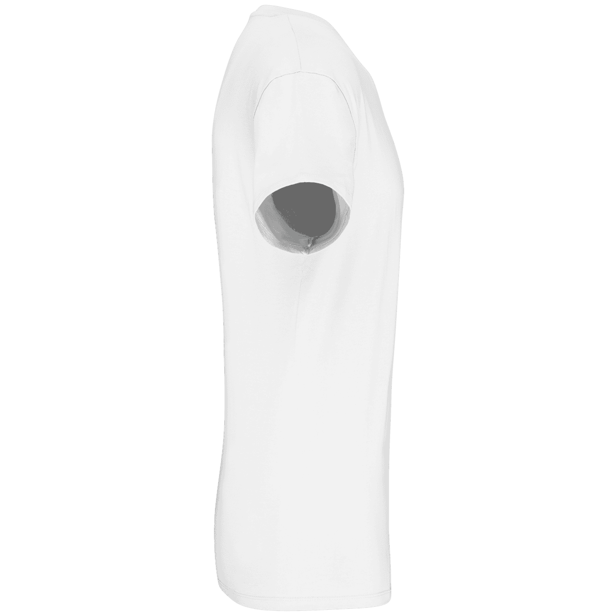 Heren-t-shirt BIO150 IC V-hals - Afbeelding 3