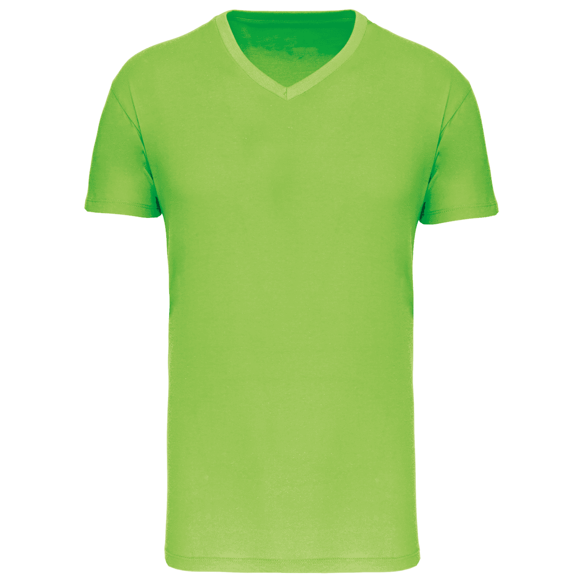 Heren-t-shirt BIO150 IC V-hals