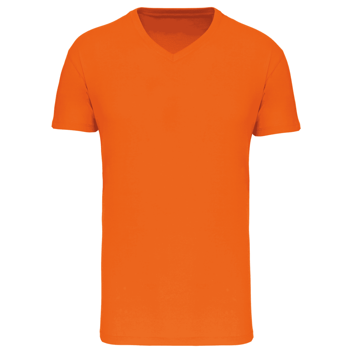 Heren-t-shirt BIO150 IC V-hals
