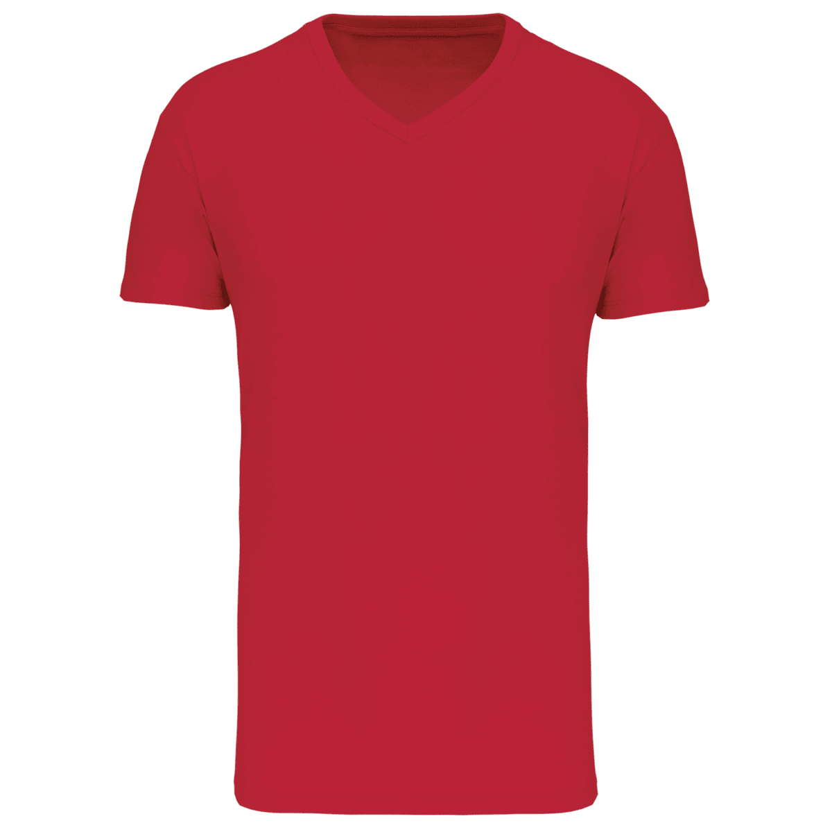 Heren-t-shirt BIO150 IC V-hals