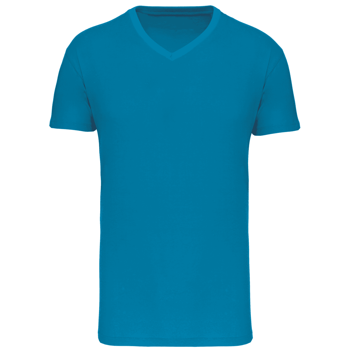Heren-t-shirt BIO150 IC V-hals