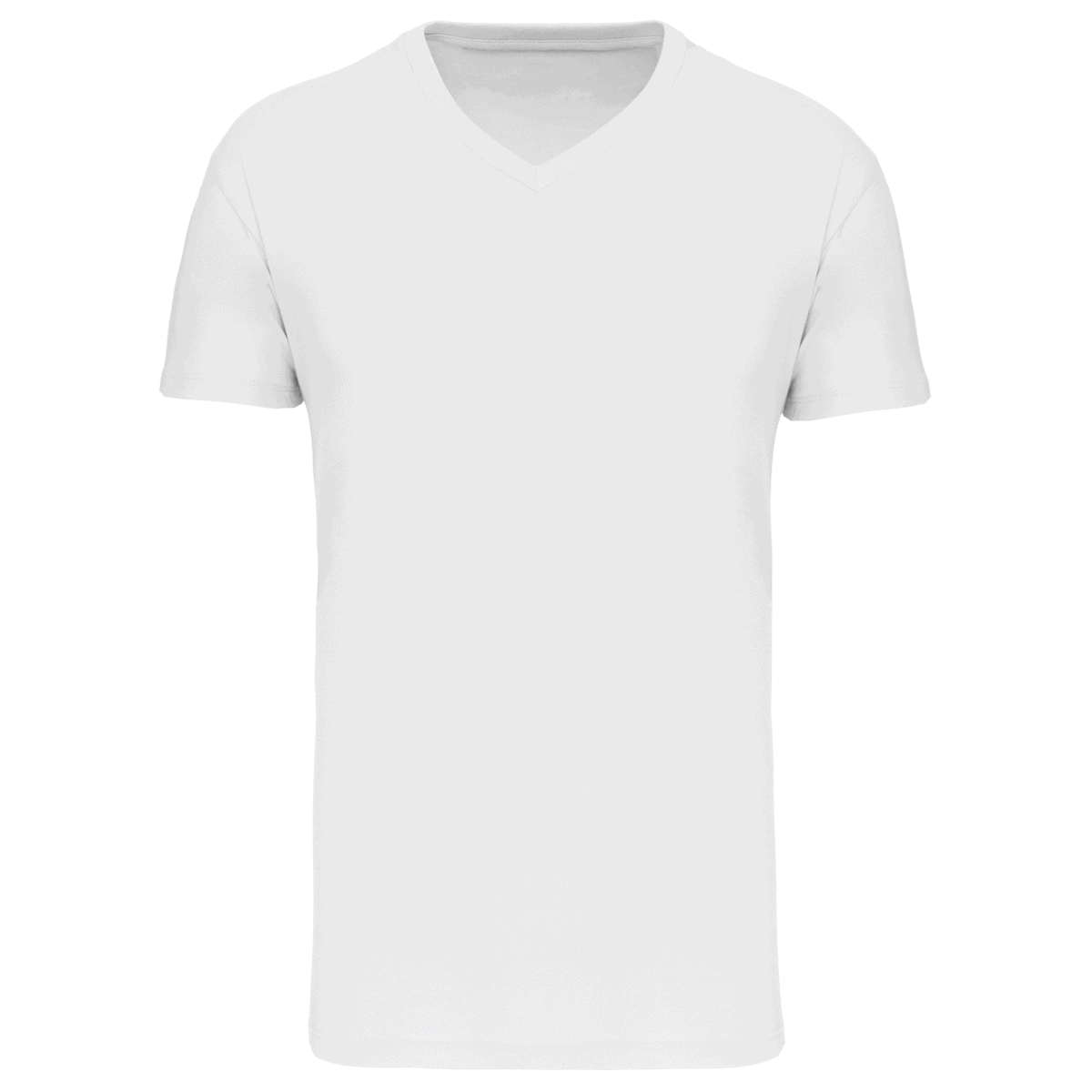Heren-t-shirt BIO150 IC V-hals