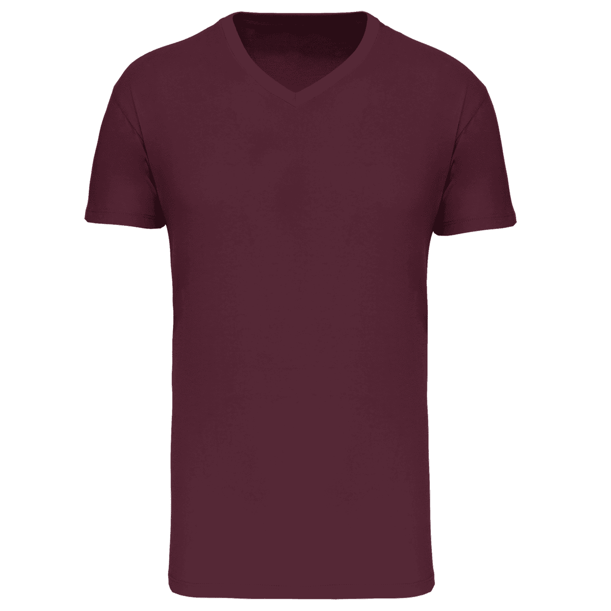 Heren-t-shirt BIO150 IC V-hals