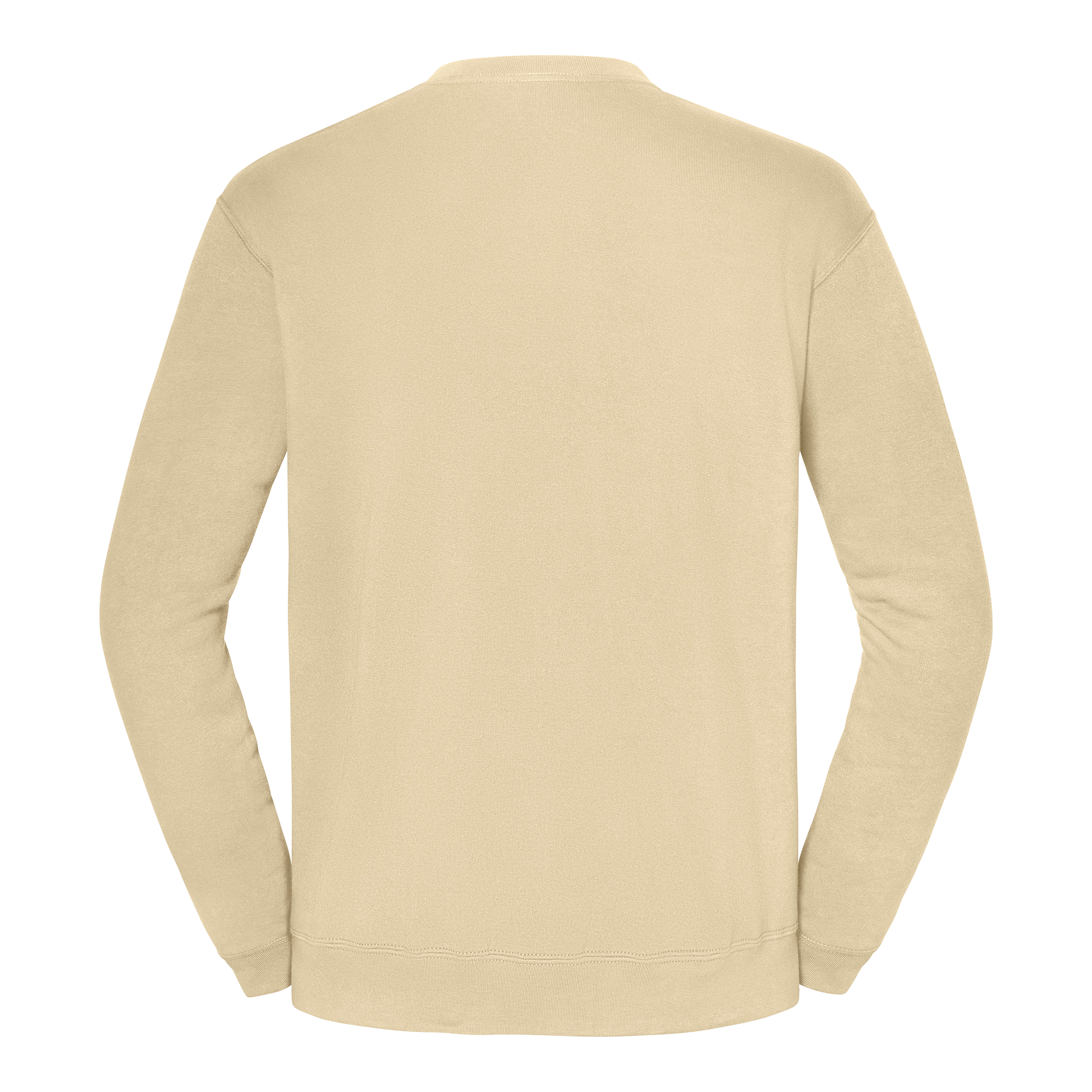 Sweater Iconic 250