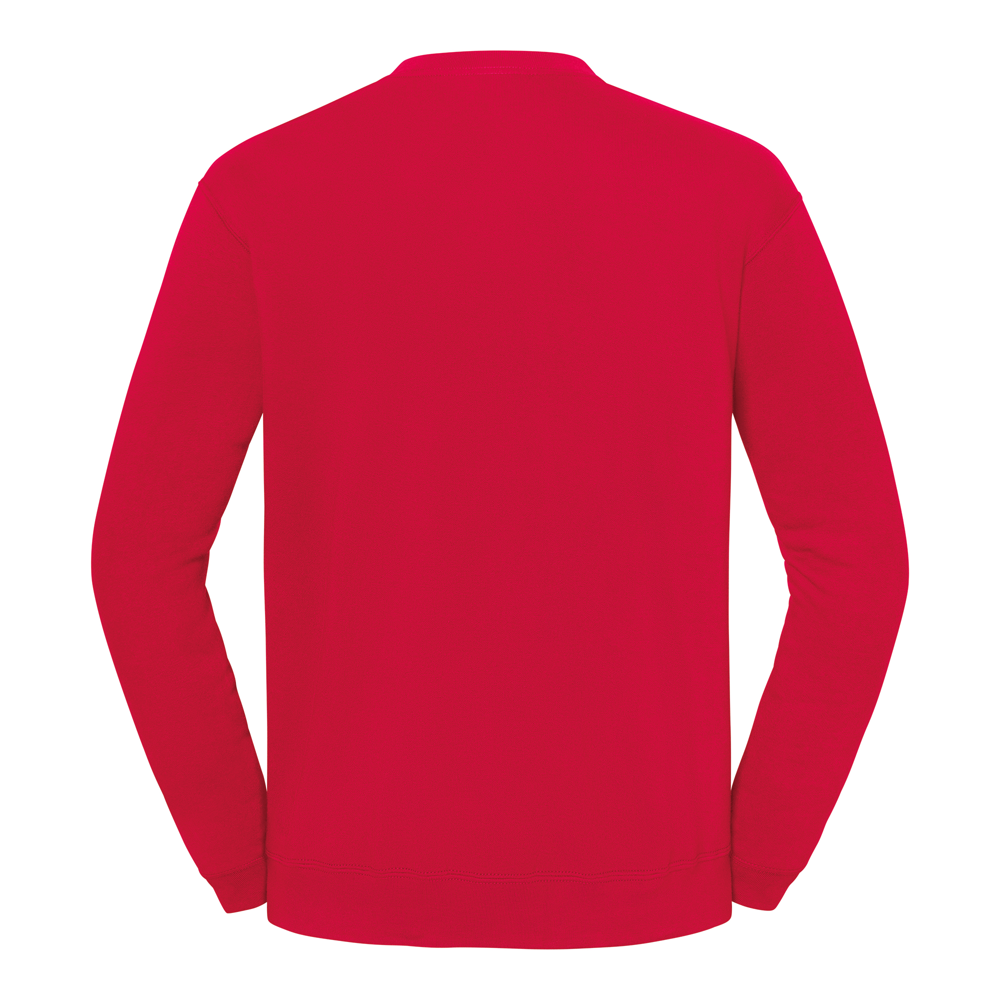 Sweater Iconic 250